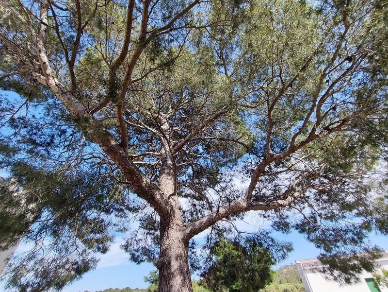 5 bedroom Country House for sale 5 bedroom Country House for sale