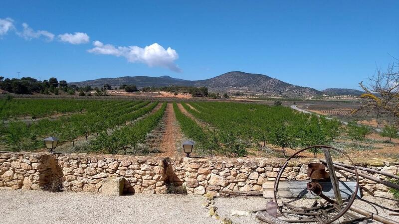 5 bedroom Villa for sale 5 bedroom Villa for sale