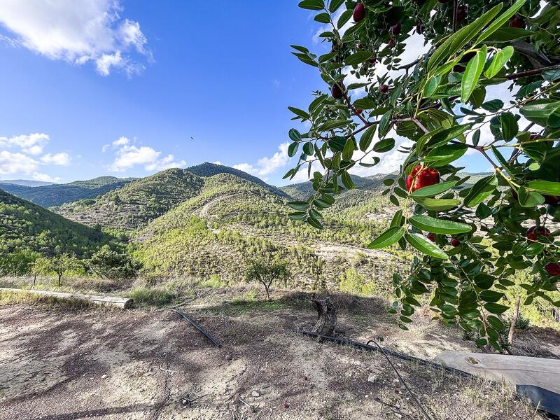 2 bedroom Country House for sale 2 bedroom Country House for sale