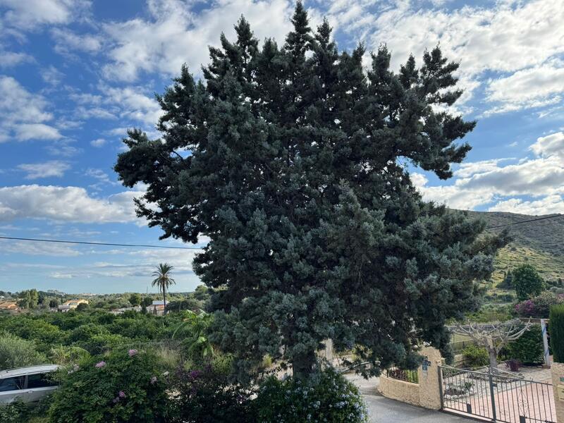 3 bedroom Villa for sale 3 bedroom Villa for sale