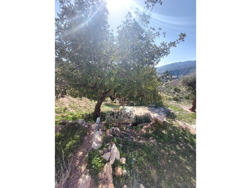 3 bedroom Country House for sale 3 bedroom Country House for sale