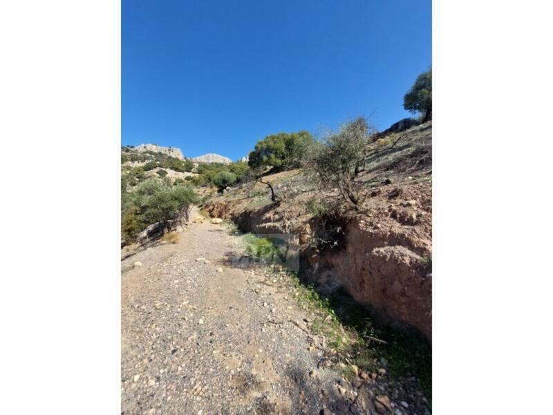 3 bedroom Country House for sale 3 bedroom Country House for sale