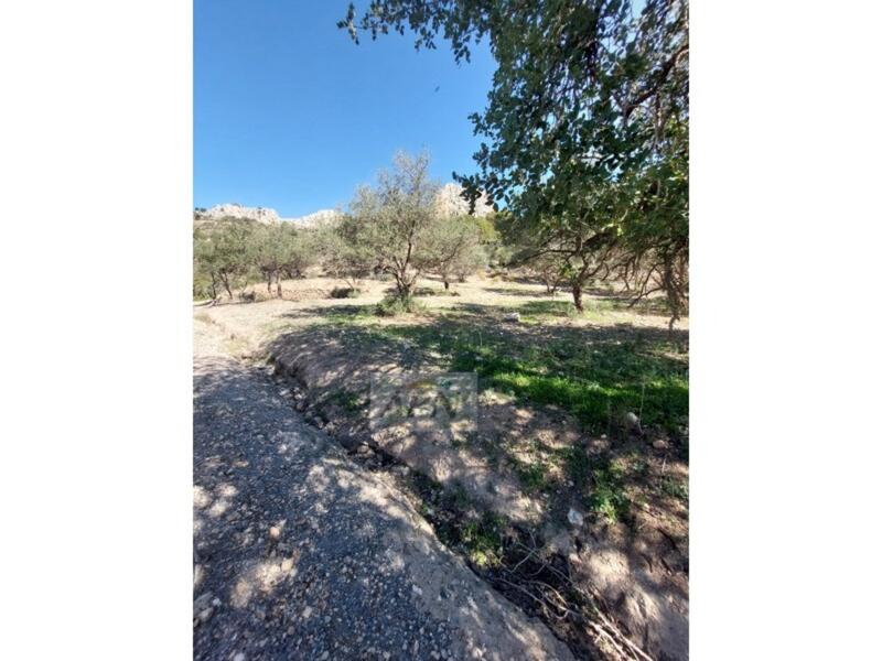 3 bedroom Country House for sale 3 bedroom Country House for sale