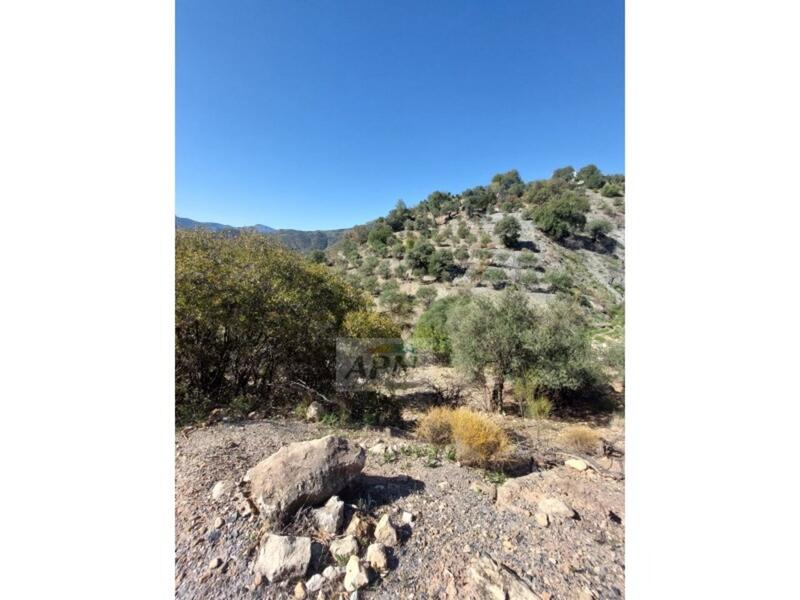 3 bedroom Country House for sale 3 bedroom Country House for sale