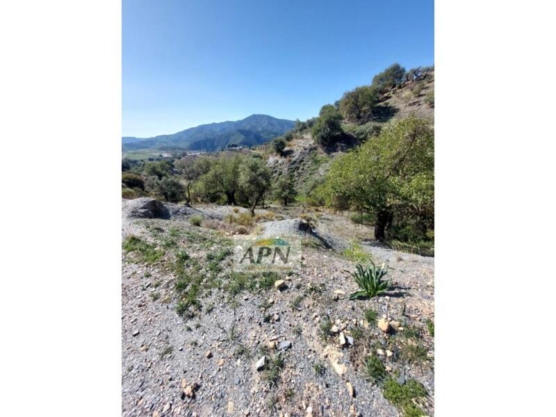 3 bedroom Country House for sale 3 bedroom Country House for sale