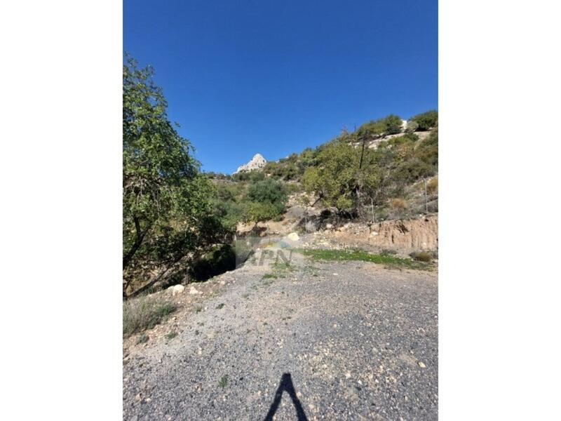 3 bedroom Country House for sale 3 bedroom Country House for sale