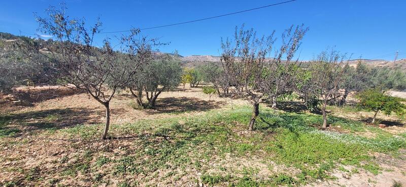 2 bedroom Villa for sale 2 bedroom Villa for sale