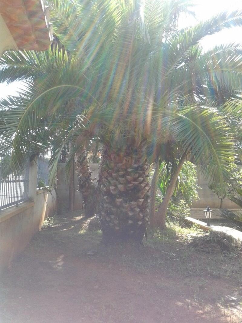 5 спальная комната вилла продается 5 спальная комната вилла продается