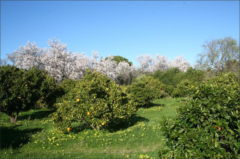 4 soverom Villa til salgs 4 soverom Villa til salgs