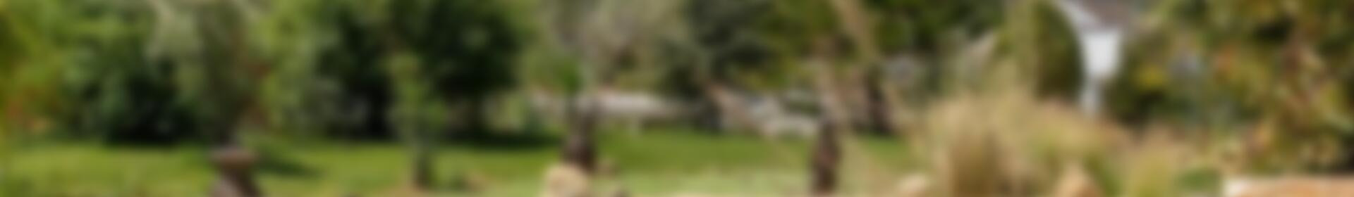 4 Cuarto Casa de Campo en venta