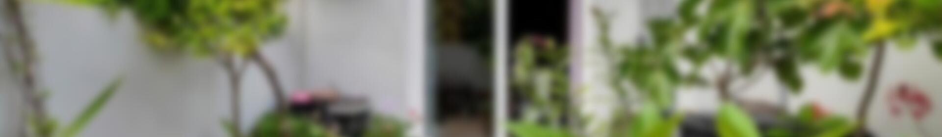 2 bedroom Townhouse for sale