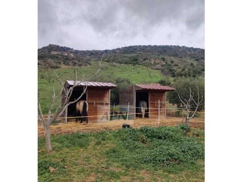 2 bedroom Country House for sale 2 bedroom Country House for sale