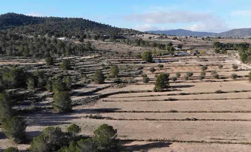 Lejlighed til salg i Monóvar, Alicante