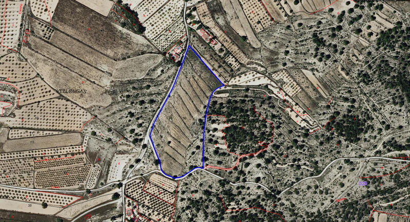 Apartment for sale Apartment for sale