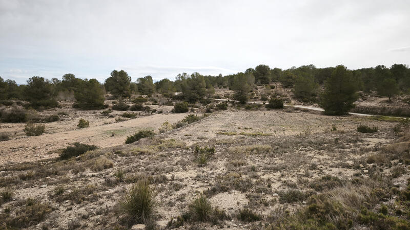 Apartment for sale Apartment for sale