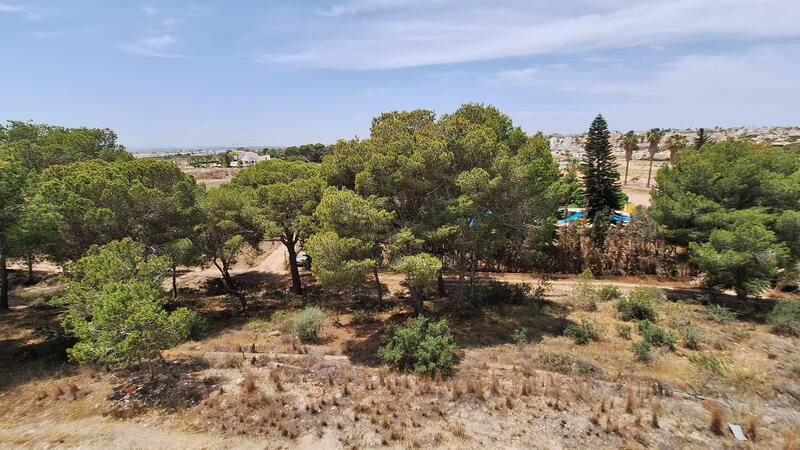 2 chambre Appartement à vendre 2 chambre Appartement à vendre