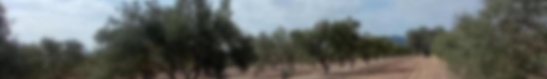 Grundstück zu verkaufen