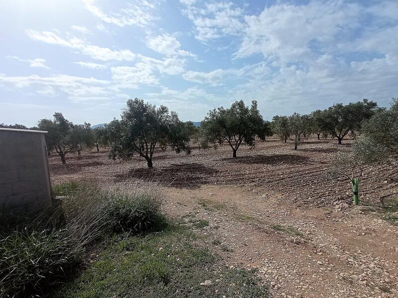 Grundstück zu verkaufen