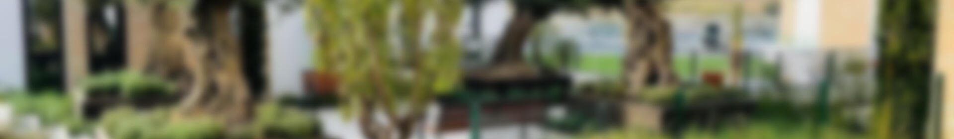 3 soveværelse Lejlighed til salg