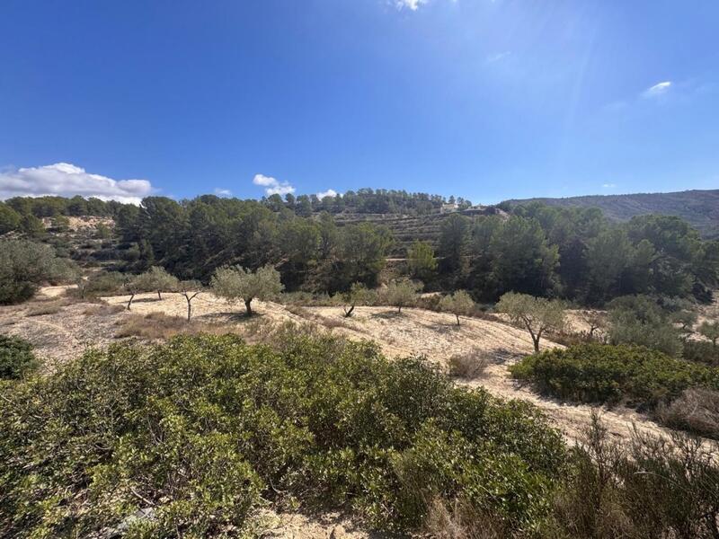 Country House for sale