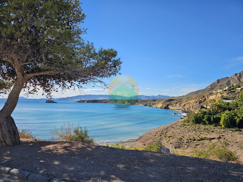 1 slaapkamer Appartement Te koop 1 slaapkamer Appartement Te koop