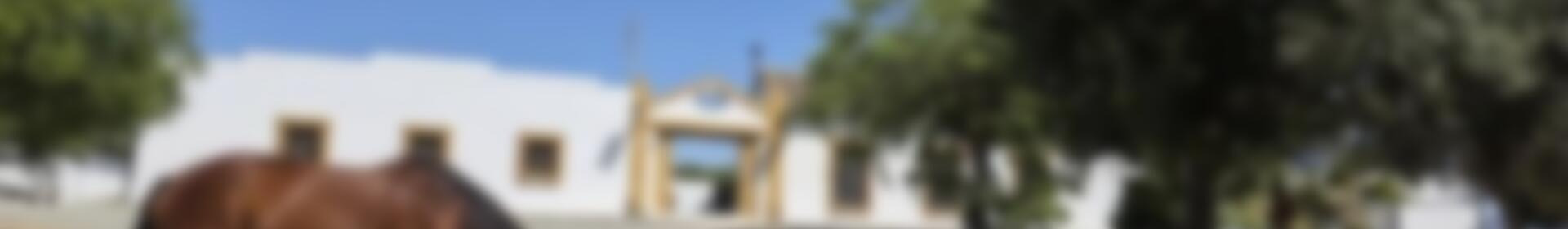 4 soveværelse Landsted til salg