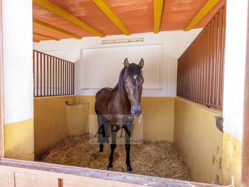 4 soveværelse Landsted til salg 4 soveværelse Landsted til salg