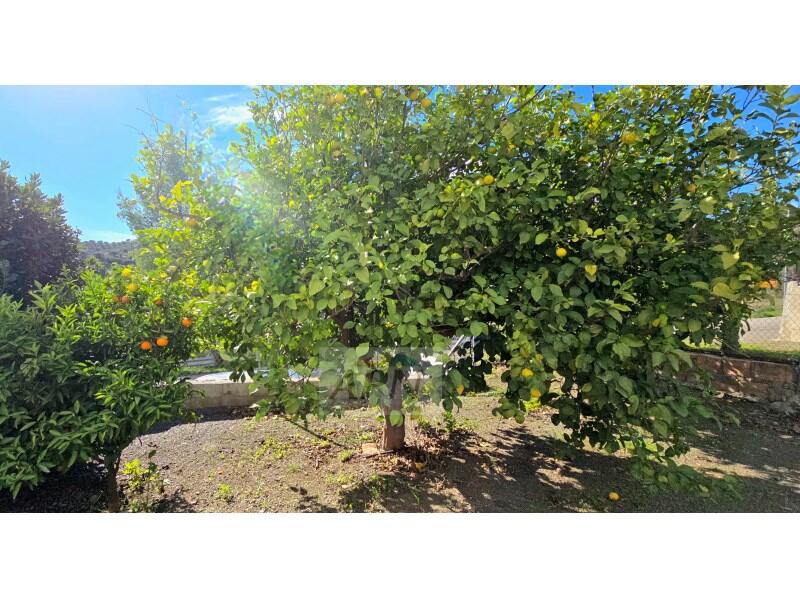 4 soveværelse Landsted til salg