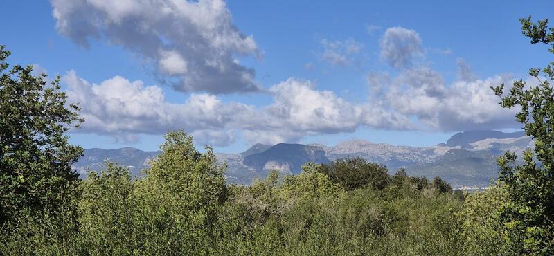 Villa for sale in Costitx, Mallorca Villa for sale in Costitx, Mallorca