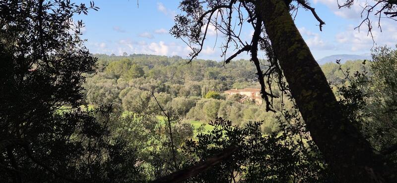 Villa for sale Villa for sale