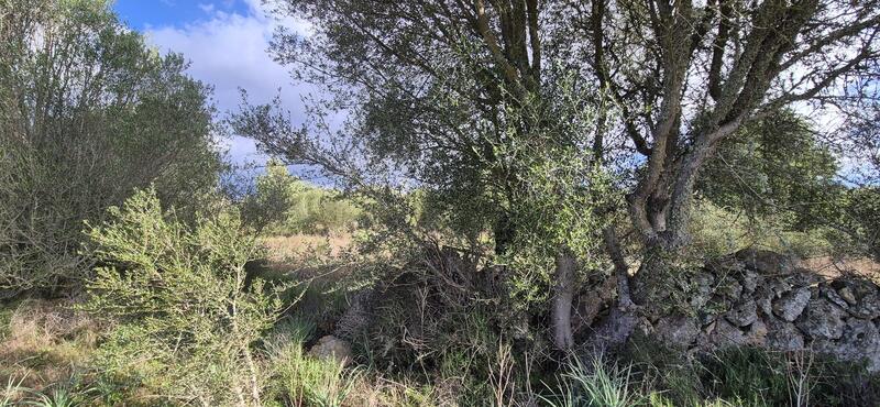 Villa for sale Villa for sale