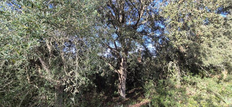 Villa for sale Villa for sale