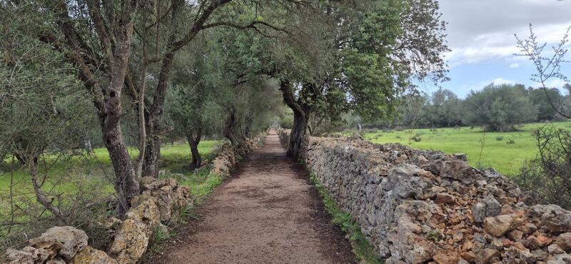 Villa for sale Villa for sale