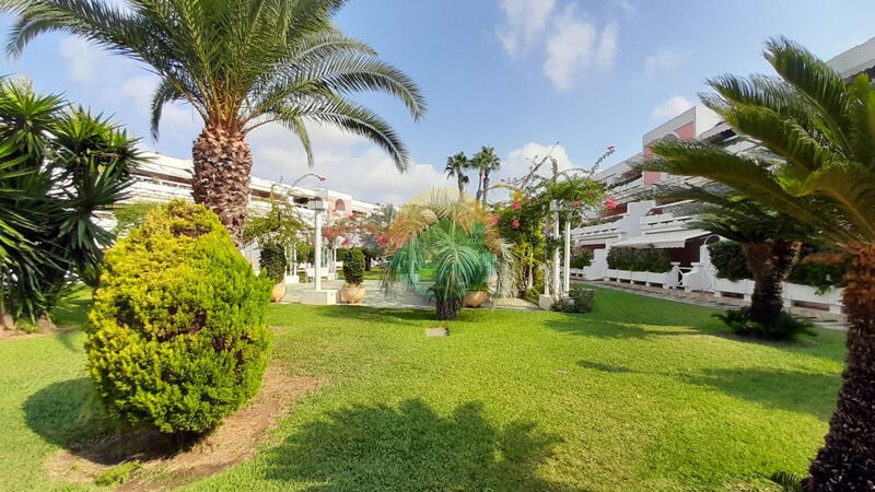 1 chambre Appartement à vendre