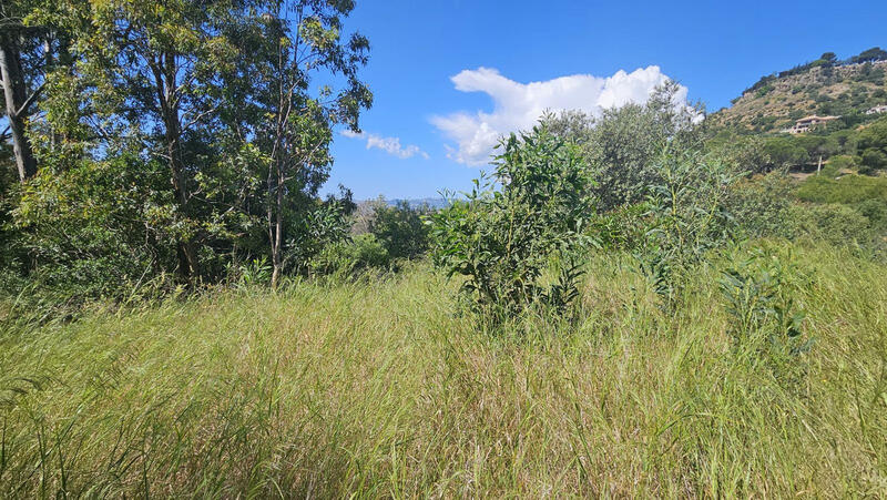 5 bedroom Country House for sale