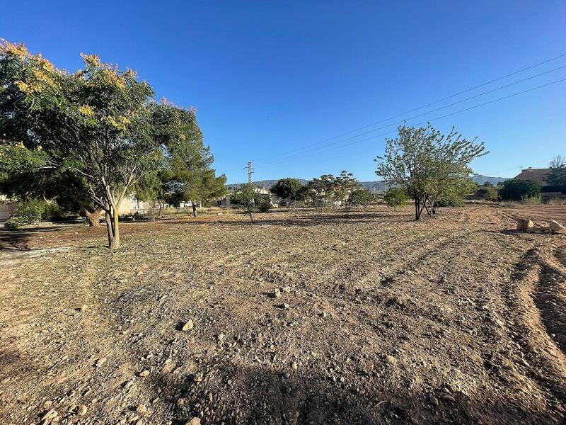 Land for sale Land for sale