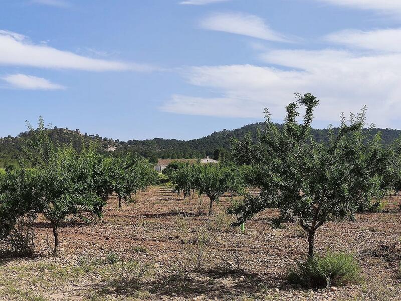 5 bedroom Country House for sale