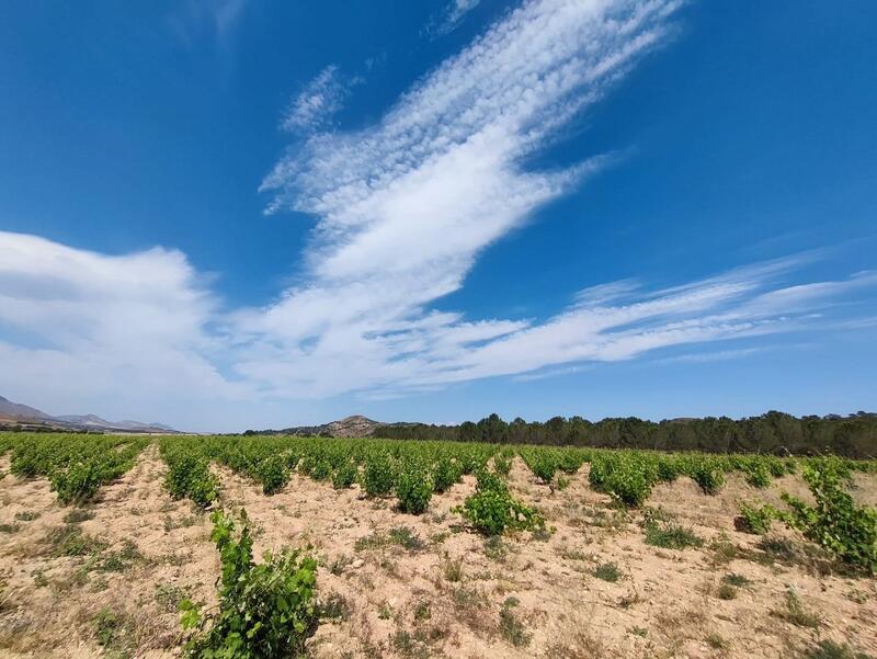 5 bedroom Country House for sale