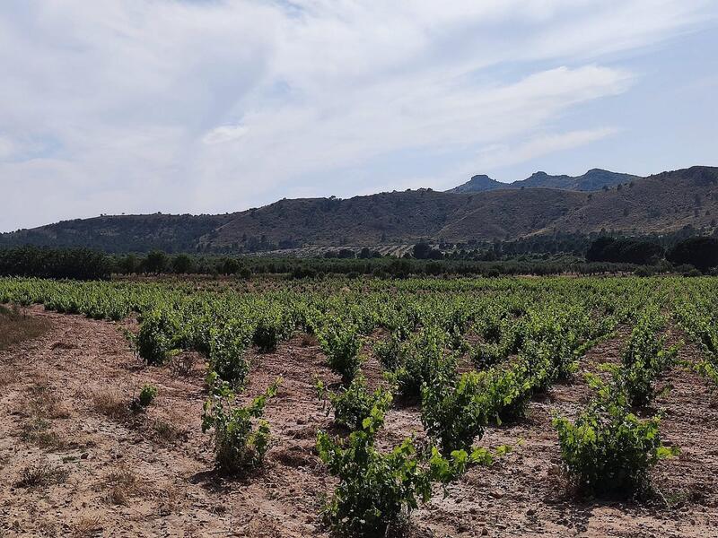 5 bedroom Country House for sale