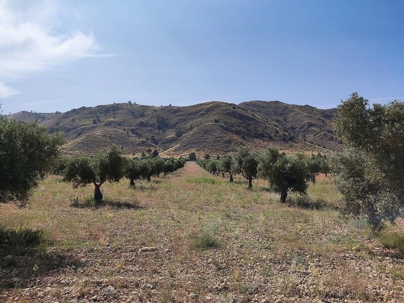 5 bedroom Country House for sale