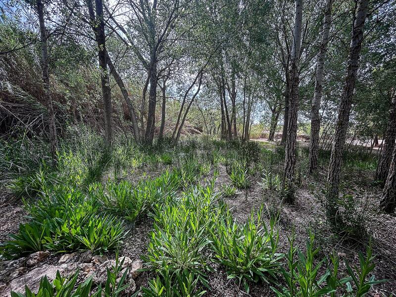 Country House for sale