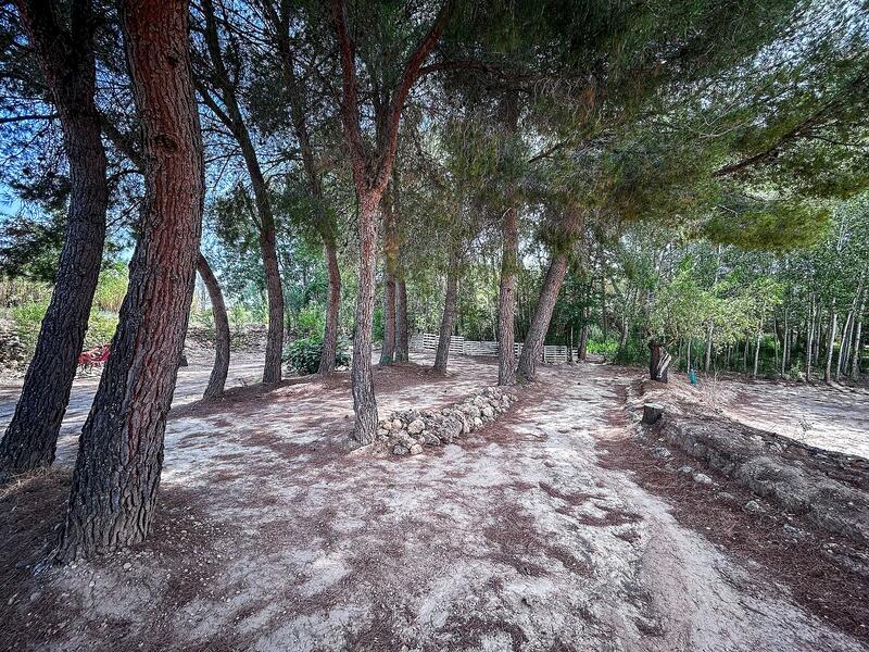 Country House for sale