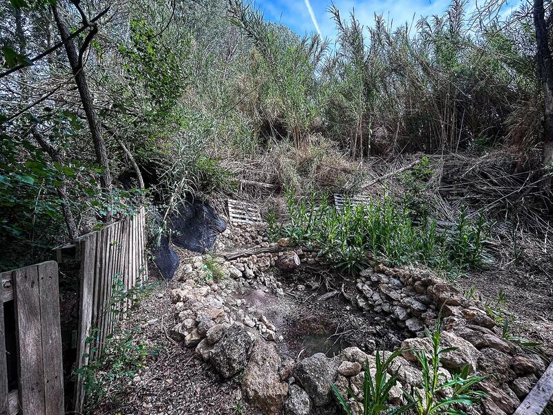 Country House for sale