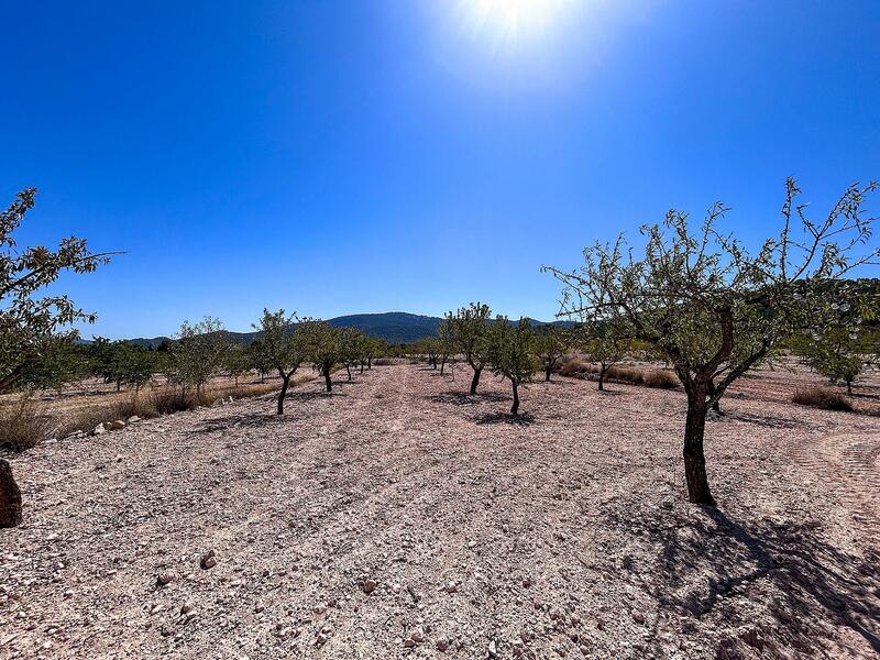 3 bedroom Country House for sale 3 bedroom Country House for sale