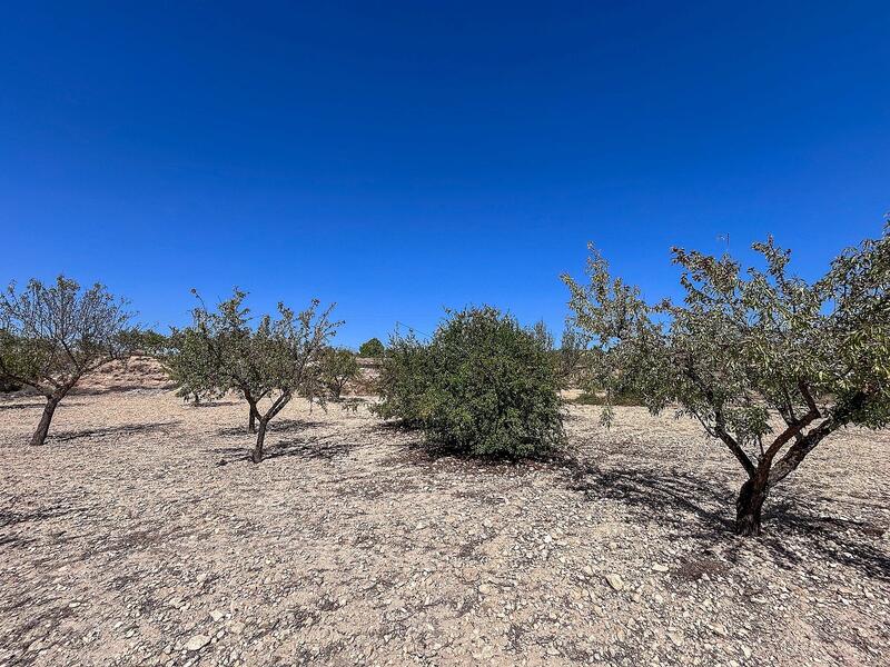 3 bedroom Country House for sale 3 bedroom Country House for sale