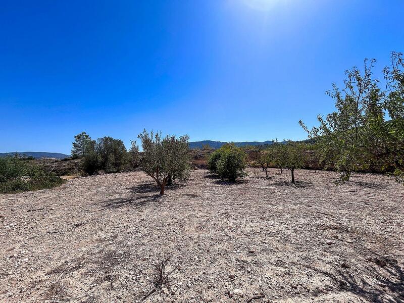 3 bedroom Country House for sale 3 bedroom Country House for sale