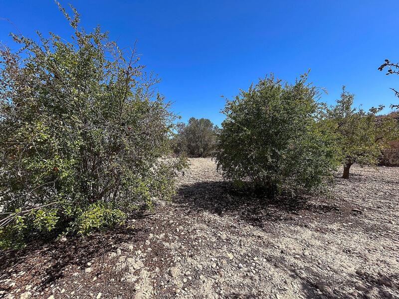 3 bedroom Country House for sale 3 bedroom Country House for sale