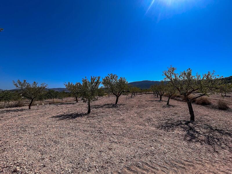 3 bedroom Country House for sale 3 bedroom Country House for sale