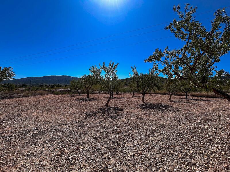 3 bedroom Country House for sale 3 bedroom Country House for sale