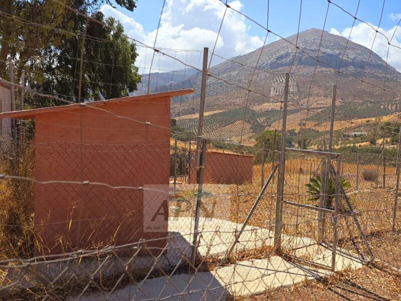 2 soverom Herregård til salgs